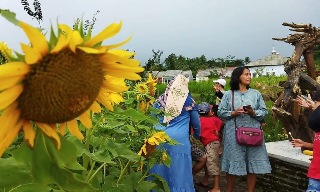 Sulap Perkebunan Jadi Agrowisata, Pemuda Ini Mampu Pulihkan Perekonomian Ditengah Pandemi