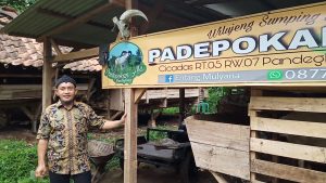 Peternak Domba di Pandeglang Banten Raup Puluhan Juta Rupiah