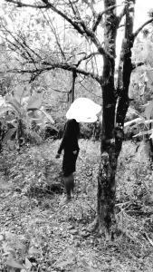 Pemuda di Cigeulis Tewas Tergantung di Pohon