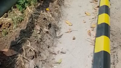 Foto pembangunan jalan mandalawangi - ciomas (Katakita.co)