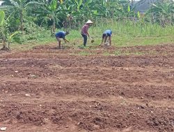 Warga Binaan di Lapas Kelas IIA Serang Bertani