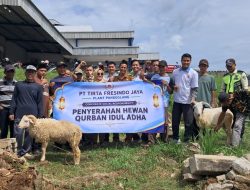 PT Tirta Fresindo Jaya Pandeglang Salurkan 14 Ekor Kambing Qurban