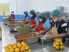 Intip Menu MBG Sepekan di SPPG Sindangresmi, Gizi Terukur dan Bahan dari UMKM Lokal