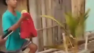 Bayi yang Ditemukan di Pantai Panimbang Dikembalikan ke Keluarga, Polisi Sebut Perkara Selesai